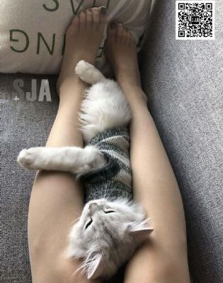 猩球崛起:新世界电影